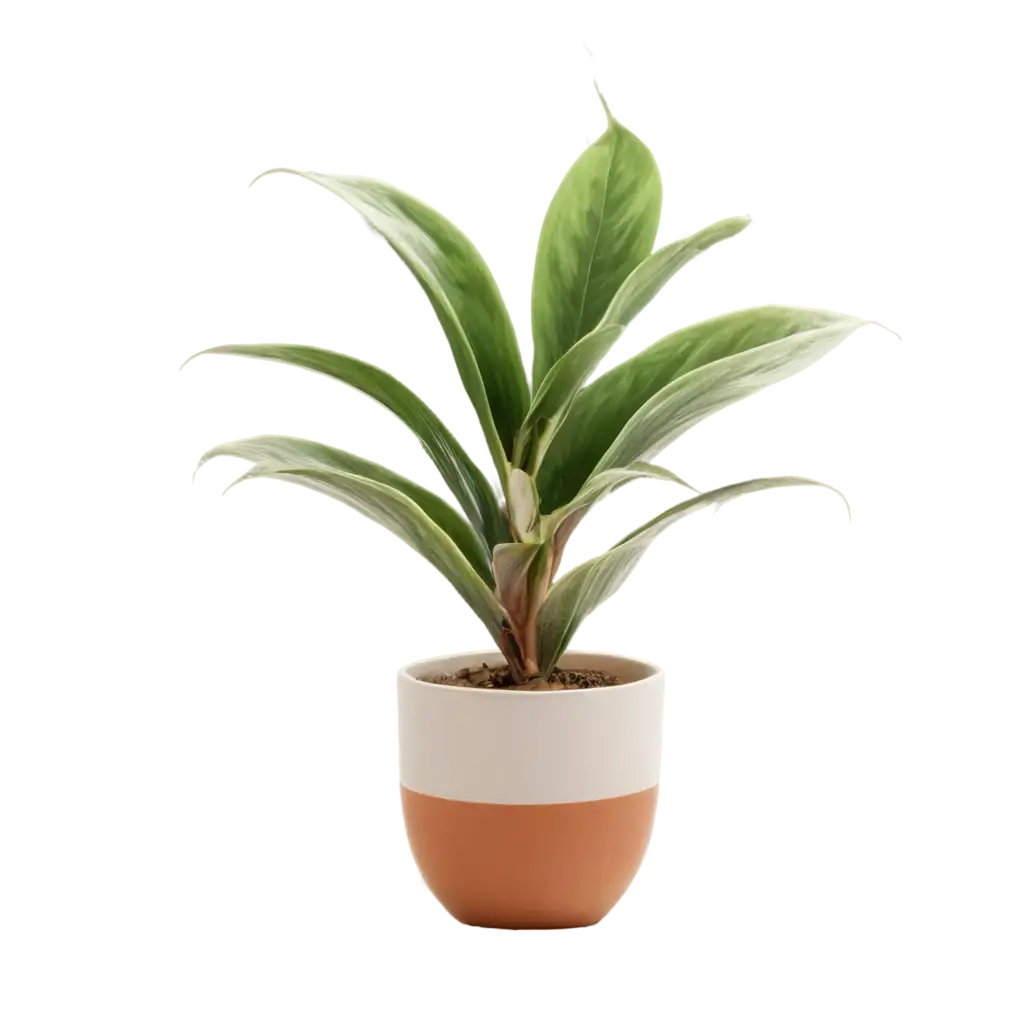 Vibrant-House-Plant-PNG-for-Enhanced-Digital-Aesthetics