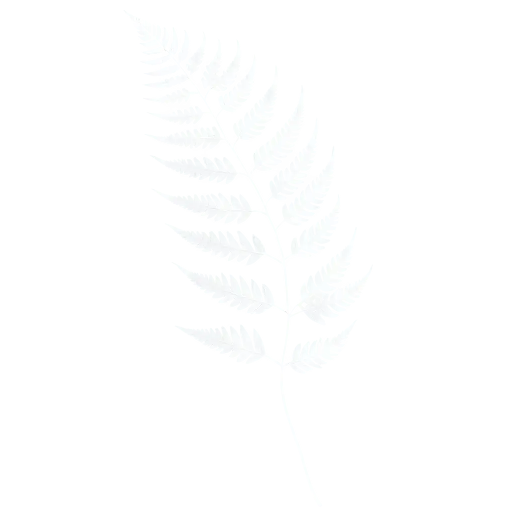 Transparent-Fern-Black-and-WhitePNG-Image-Usage-Analysis-PNG-with-Contour-for-Artistic-and-Creative-Use