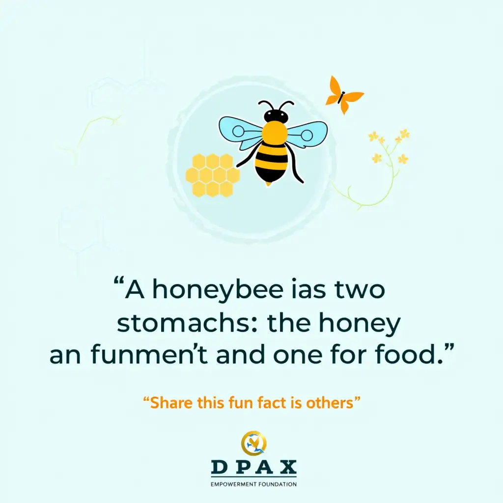 A sleek and professional infographic for DPAX Empowerment Foundation featuring the fact: nn'A honeybee has two stomachs: one for honey and one for food.'nn The design should have a modern illustration of a honeybee, a subtle honeycomb pattern, and a clean text layout.nnThe primary brand color, light blue, should dominate the design, ensuring a cohesive and professional look.  nnThe background and accents should complement the brand identity while maintaining a polished aesthetic. Include a call-to-action: 'Share this fun fact with others.'nnSee yourself as a professional graphic designer with more than 20 years of detailed result-oriented experience and build this design as one. Make sure all the letters, words, phrases and sentences are clear, legible, readable and understandable. All spellings should be corrected. Design should be catchy , engaging and sleek