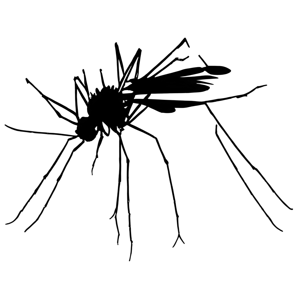 Black-and-White-AnimatedPNG-Image-Usage-Scenarios-Mosquito-PNG-Image-for-Various-Creative-Uses