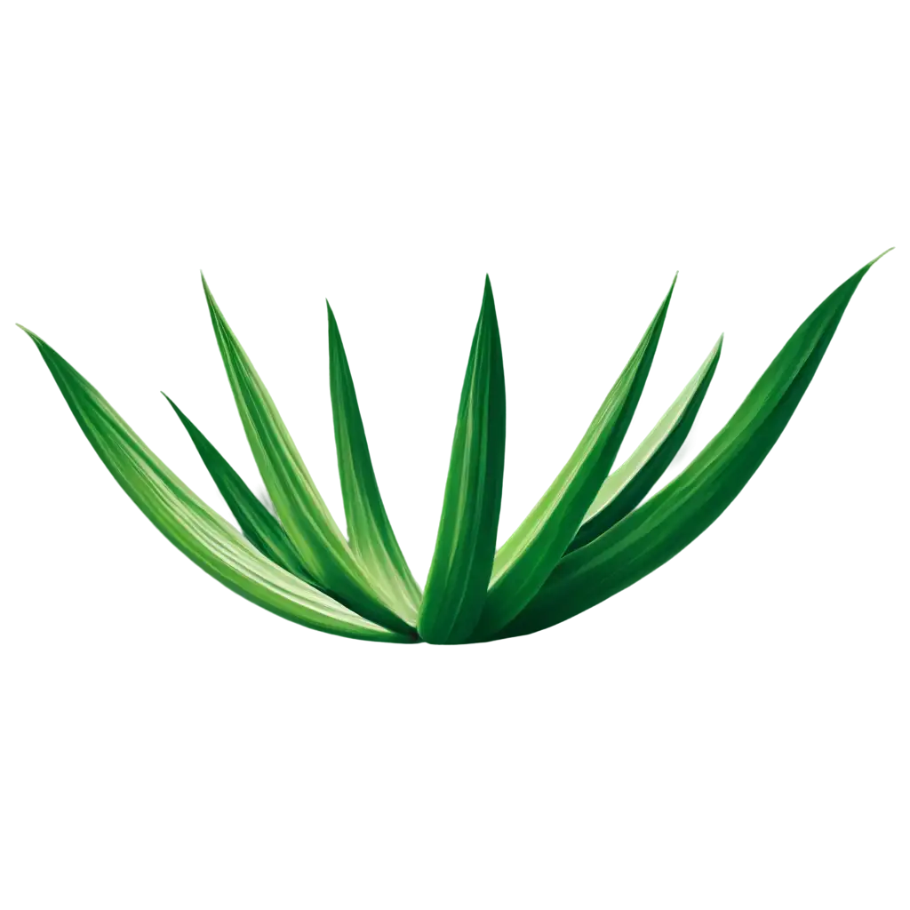 Aloe-Vera-PNG-Logo-Fresh-and-Vibrant-Brand-Identity