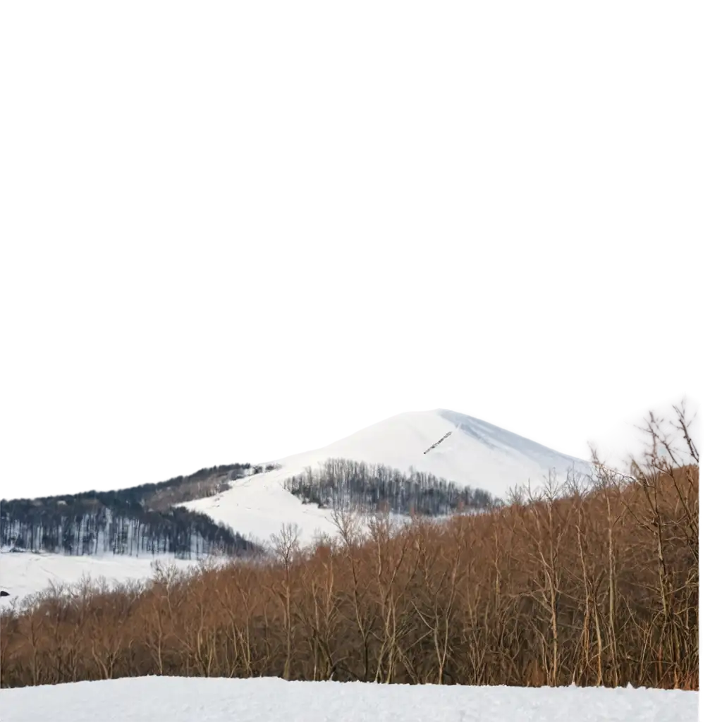 a snowy hill with some trees and a mountain at the left side behind the hill