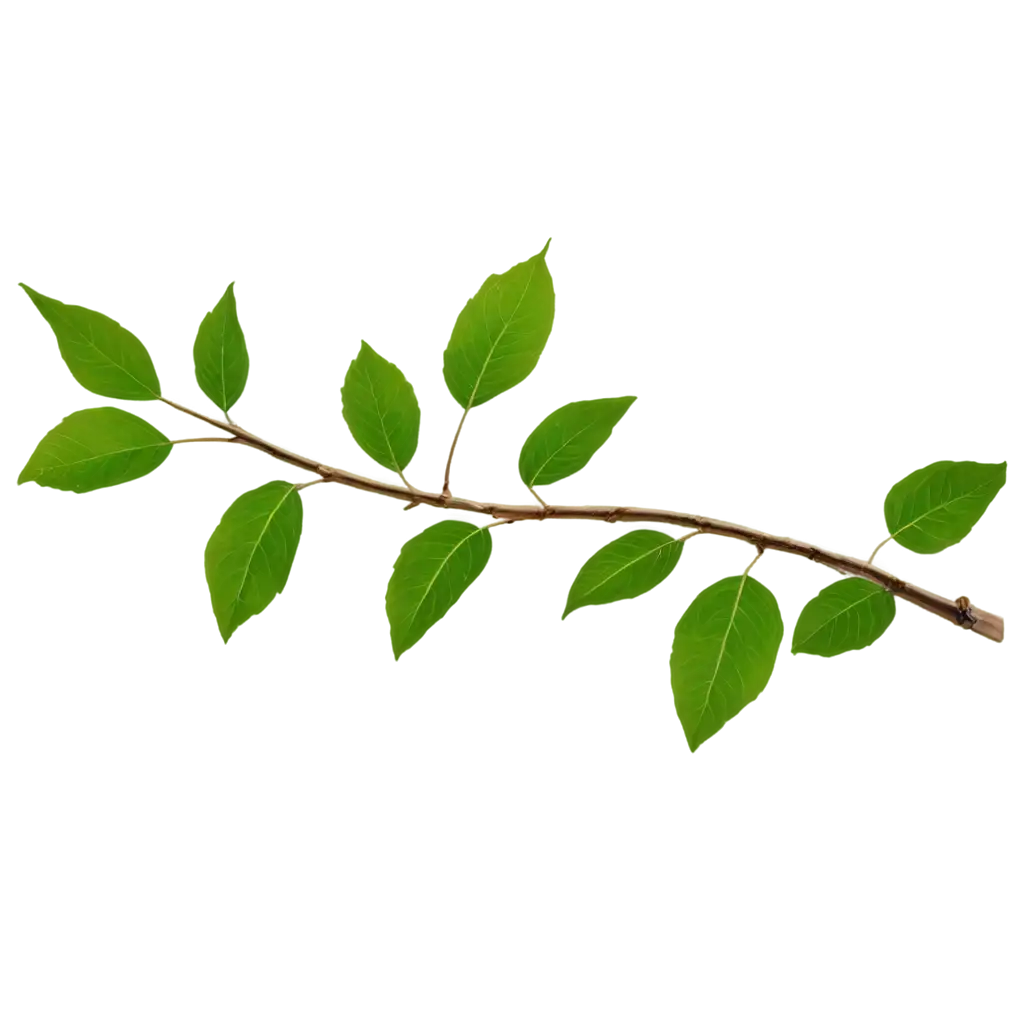 HighQuality-PNG-Image-of-Leaves-on-a-Tree-Branch-for-Transparent-and-Crisp-Visuals