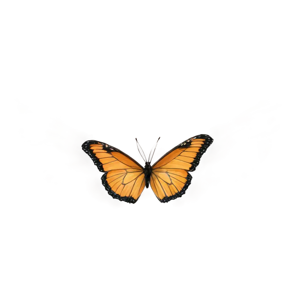 Stunning-Butterfly-PNG-Image-Create-Exquisite-Art-with-Clarity