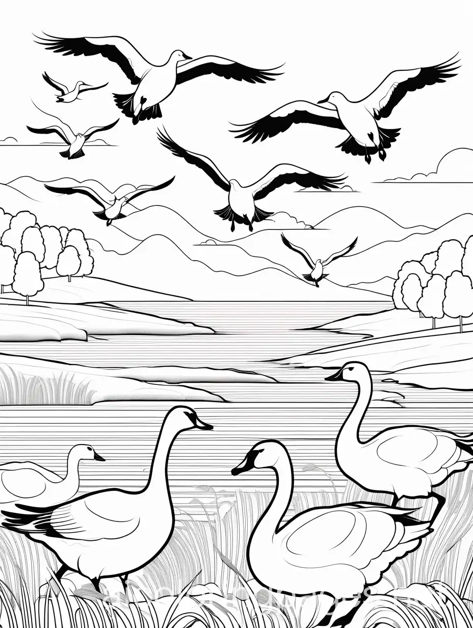 Snow-Geese-Flying-Over-Swans-in-a-Sunny-Field-Coloring-Page