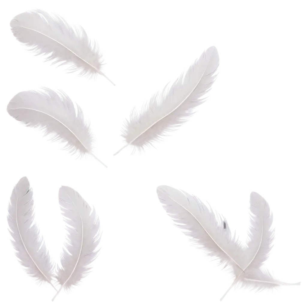 Flying-White-Feathers-Airy-PNG-Light-and-Ethereal-Design-for-Digital-Projects