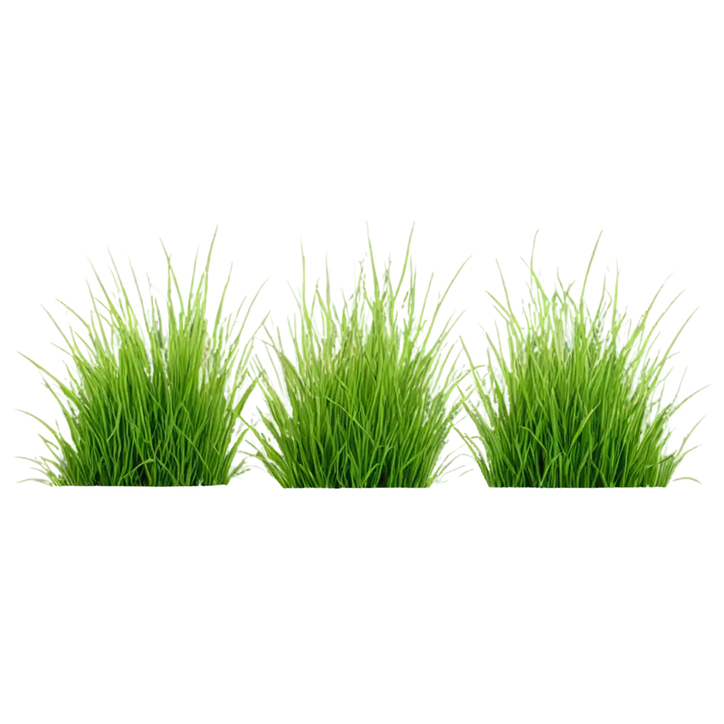 Grass-Flowers-PNG-Image-for-Clear-and-Versatile-Graphic-Use
