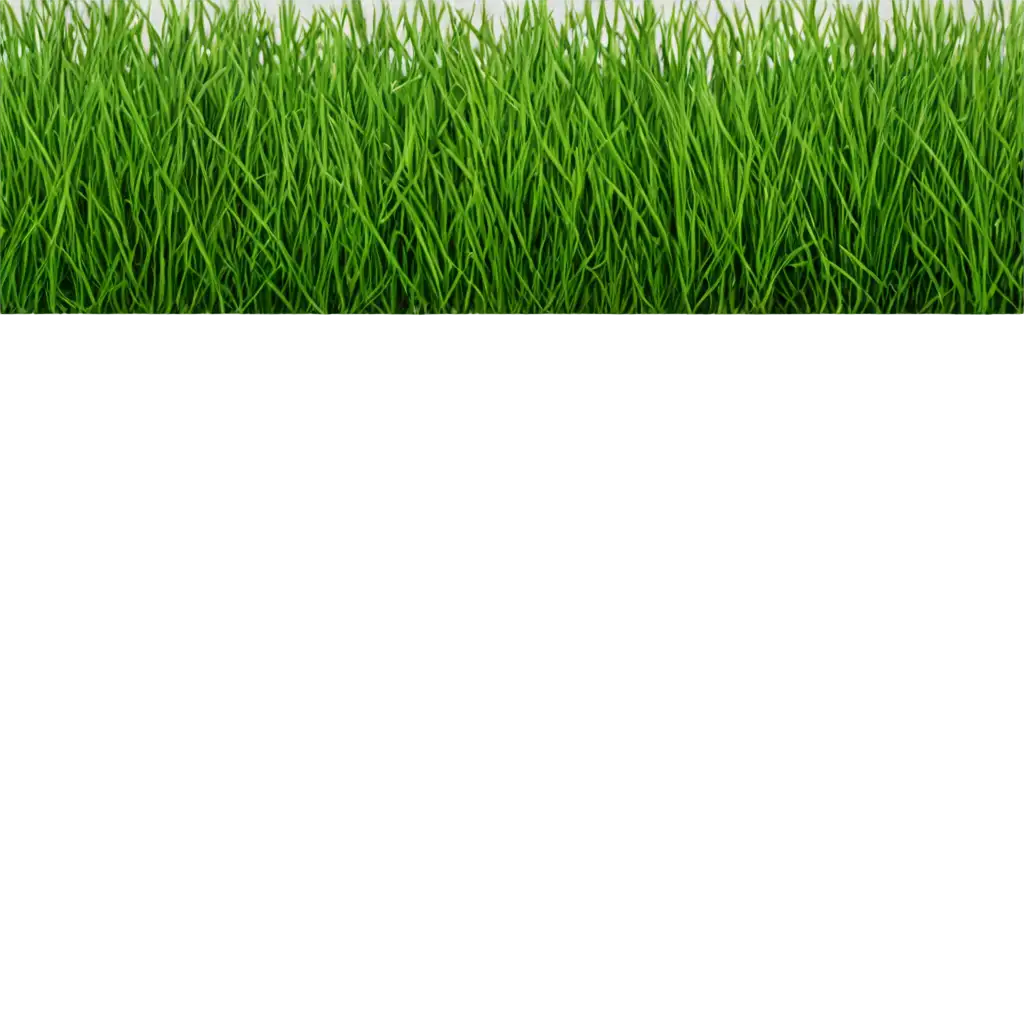 HighQuality-Grass-PNG-Image-for-Versatile-Usage