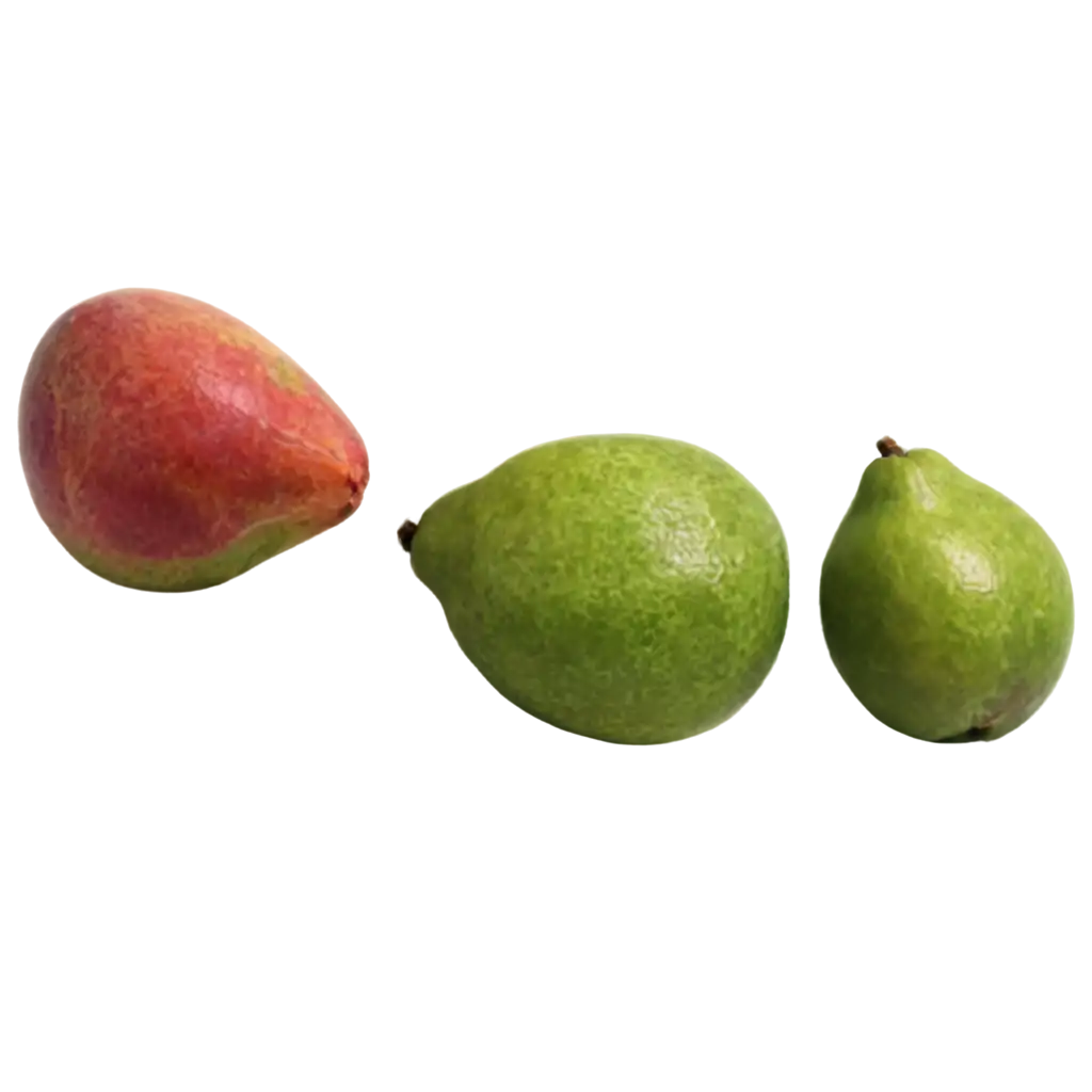 Fruit