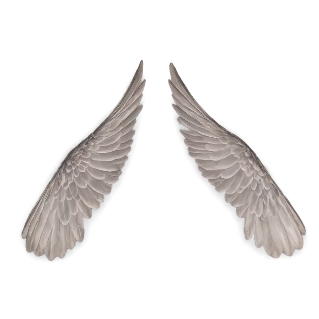 HighQuality-Wings-PNG-Image-for-Versatile-Design-and-Illustration