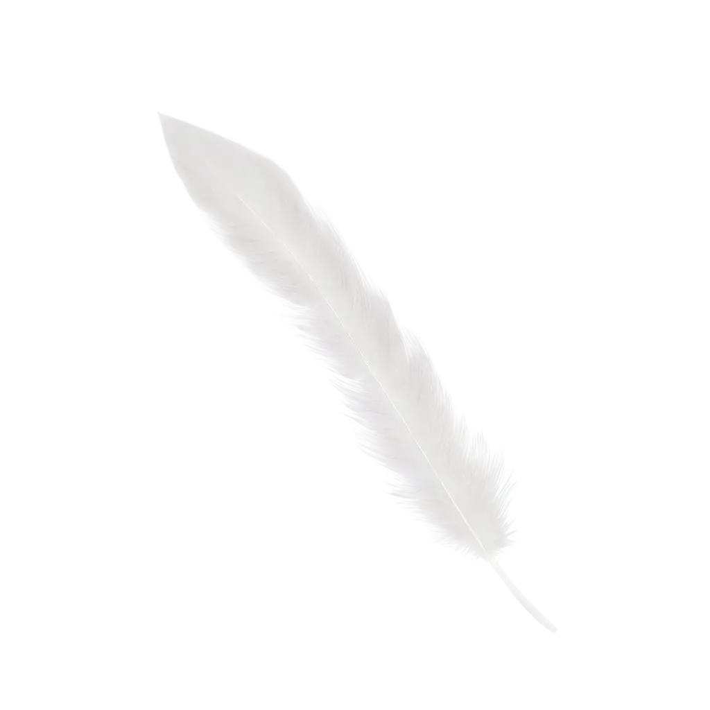 White-Feather-PNG-Image-Graceful-Elegance-in-High-Definition