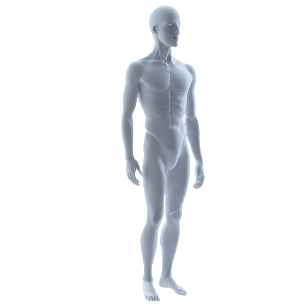 Human-Body-PNG-Image-HighQuality-Transparent-File-for-Versatile-Use