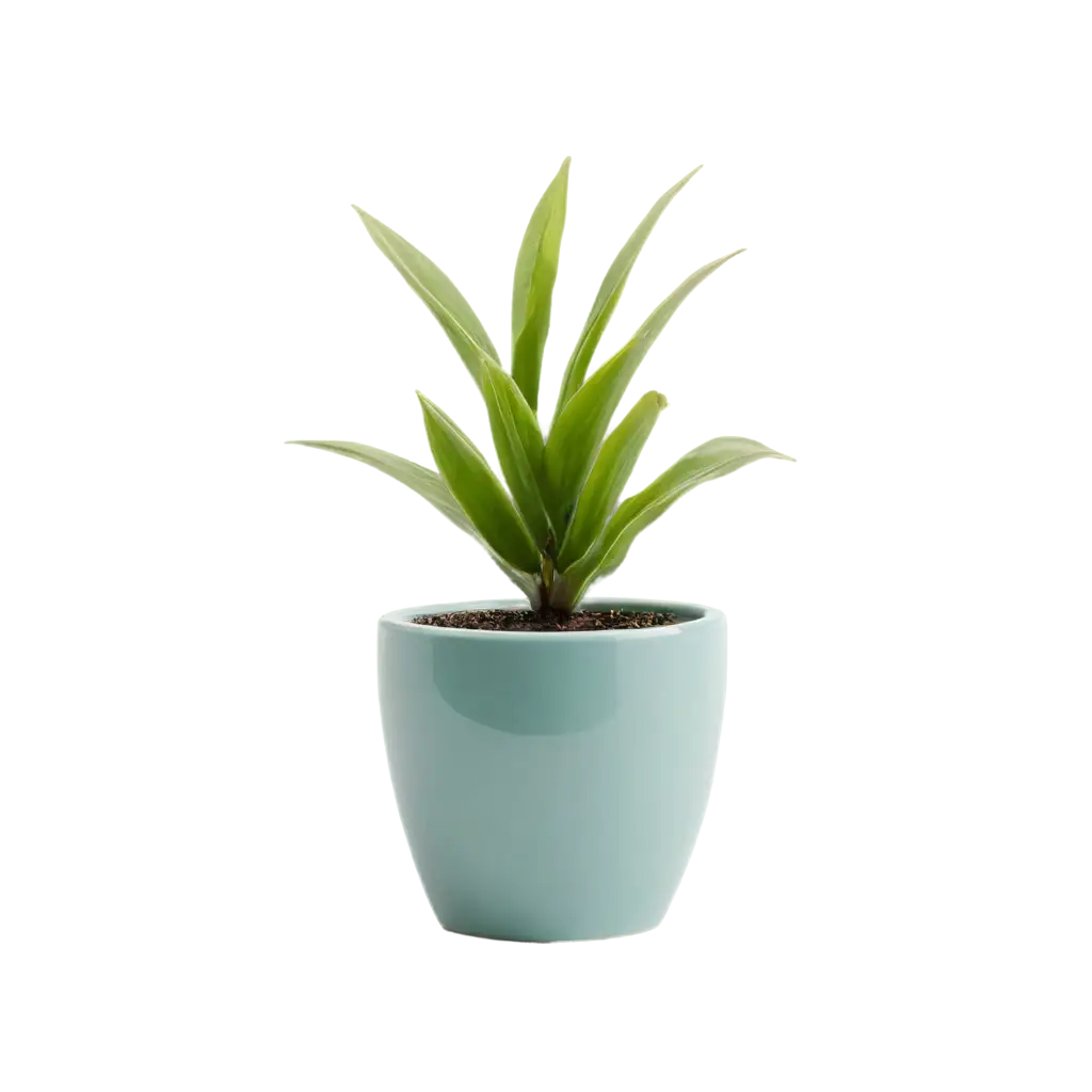 Small-Plant-with-Pot-PNG-Image-for-Clean-HighQuality-Visuals