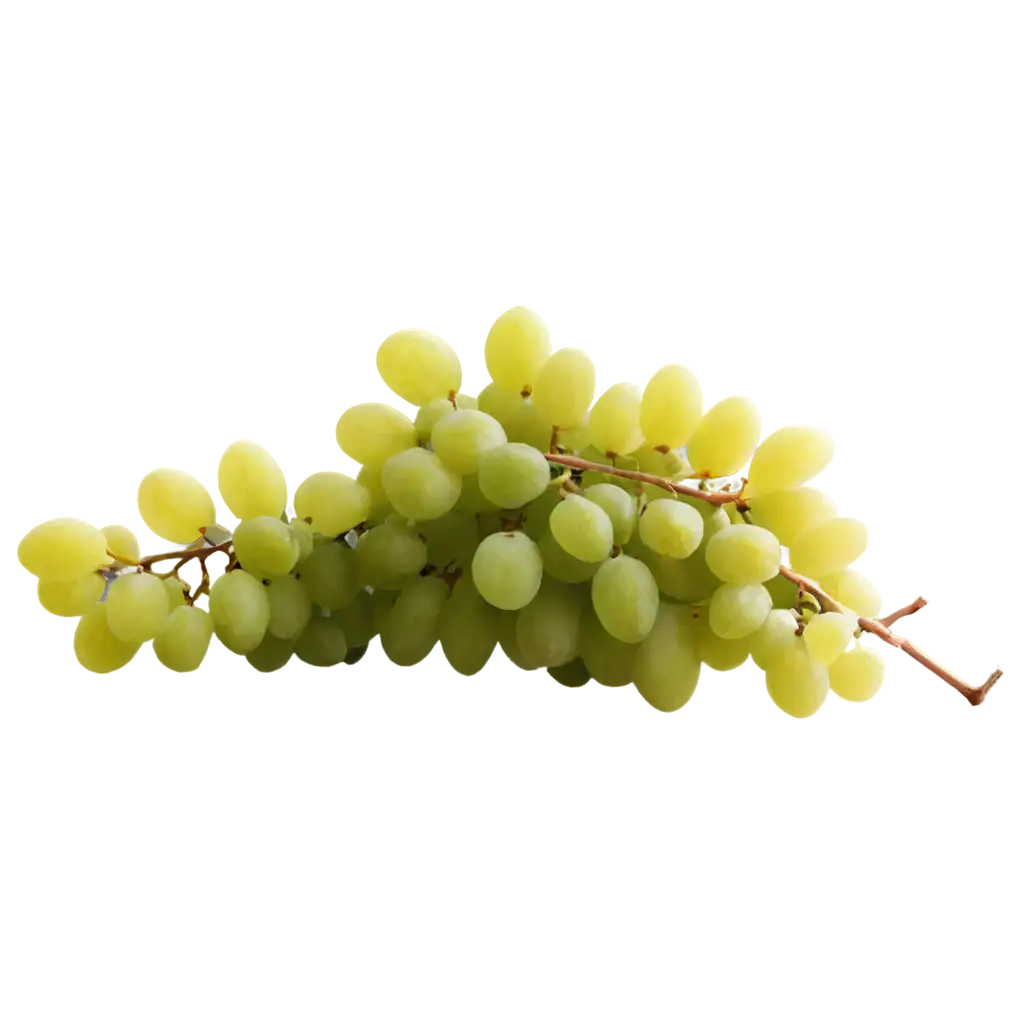 HighQuality-Grapes-PNG-Image-for-Versatile-Digital-Applications