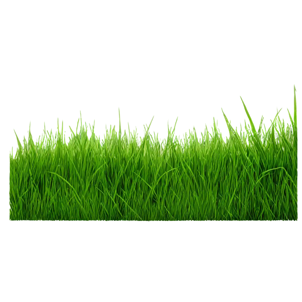 HighQuality-Grass-PNG-Image-for-Versatile-Use-in-Design-and-Web-Content