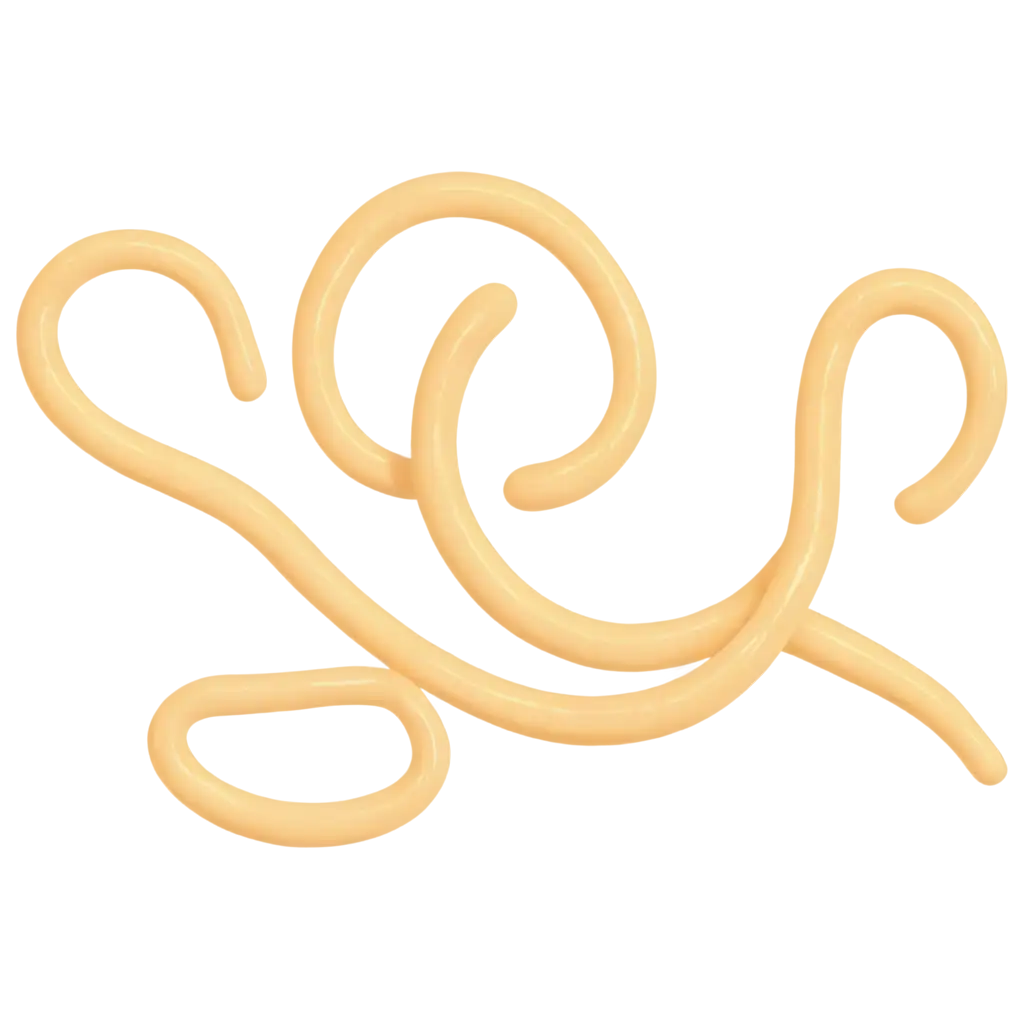 Human-Roundworm-PNG-Image-for-Infographic-Educational-Resource-for-Parents-of-Small-Children