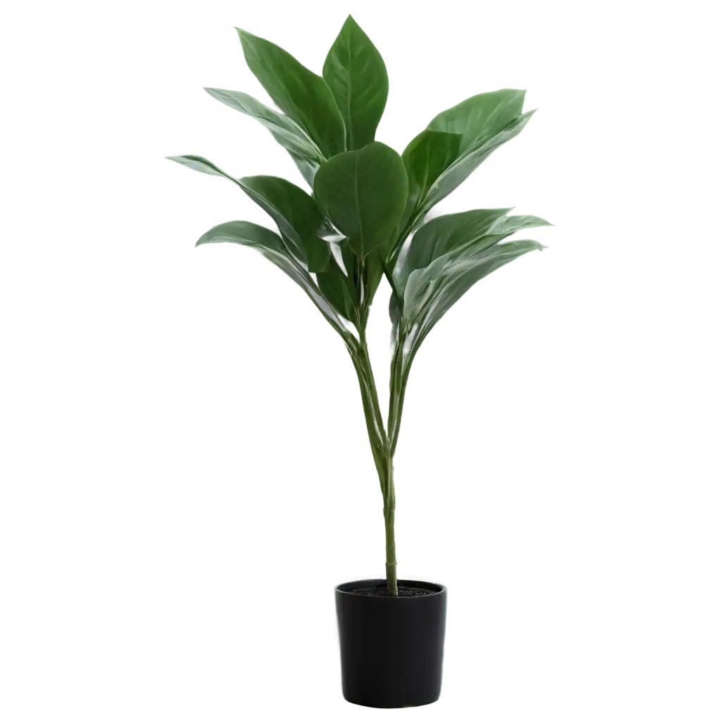 HighQuality-Home-Plant-PNG-Image-for-Various-Creative-Projects