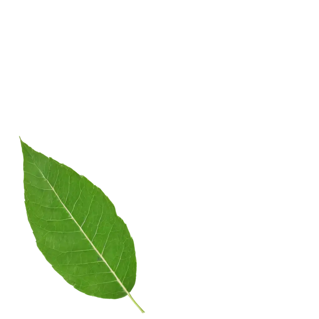 HighQuality-Green-Leaf-PNG-Image-for-Multiple-Uses