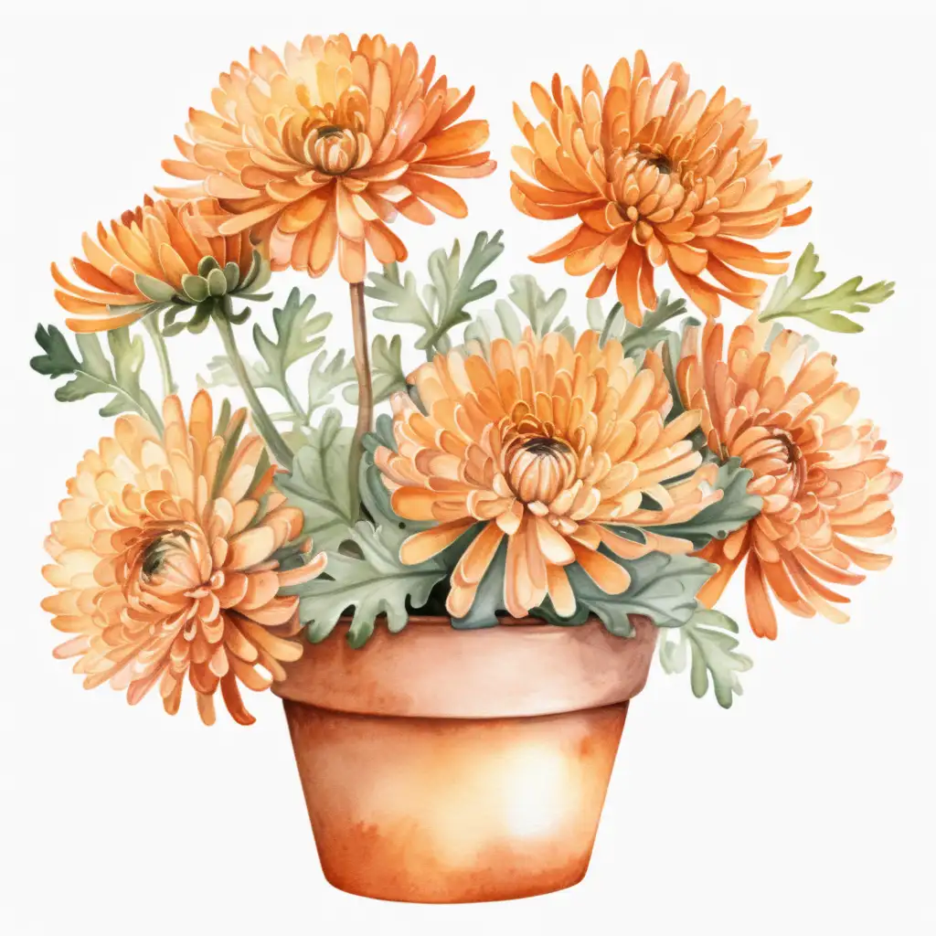 Single Aesthetic Watercolor Full Potted Orange Mum Clipart