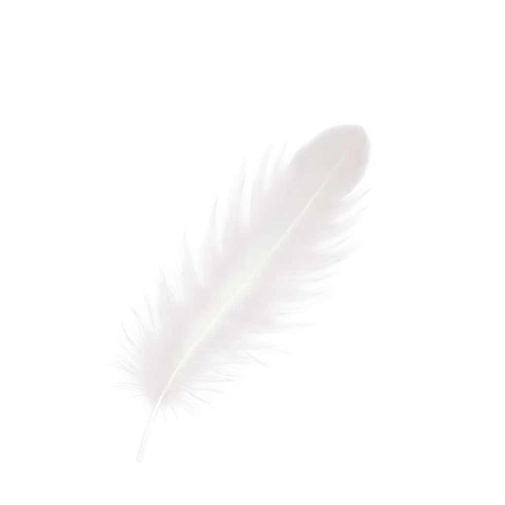 white feathers