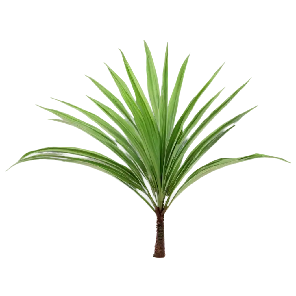 Tropical-Palm-Tree-with-Long-Leaves-Transparent-PNG-for-Versatile-Use