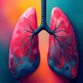 Lungs