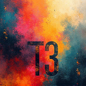 T3