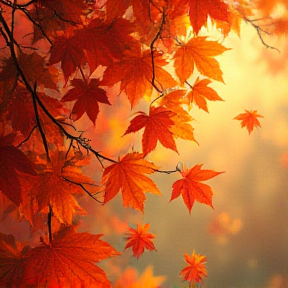 Autumn leaves