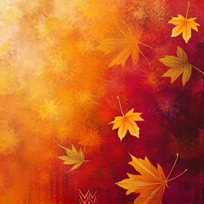 Autumn leaves