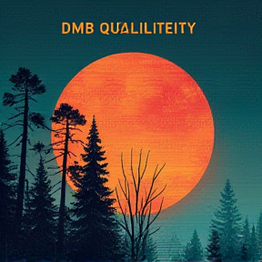 DmbQualifikation