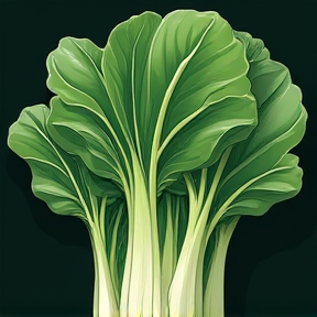 Bok Choy Bounce