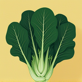 Bok Choy Bounce