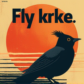 Fly krke