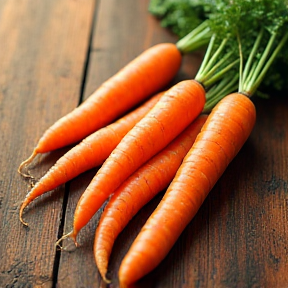 Carrot Love