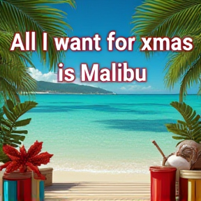 All I Want for Xmas is Malibu