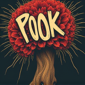 Pook