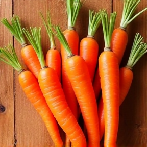 Carrot Fries