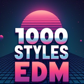 1000 Styles of EDM