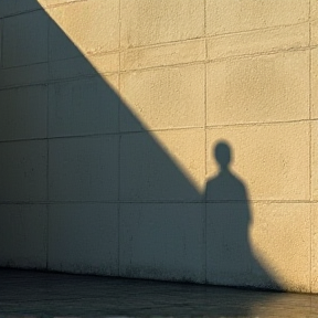 Shadow on the wall 