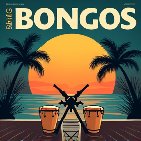 Paradise Bongos