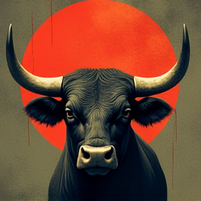 Bulls 