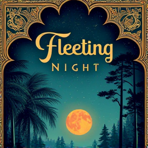 Fleeting Night