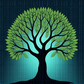 Binary Tree