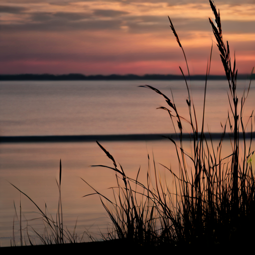 sguardo nel tramonto