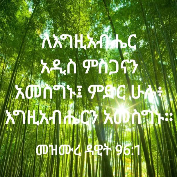 Counting my Blessings ባርኮቴን ልቁጠር።በ አለማየሁ ኃይሉ