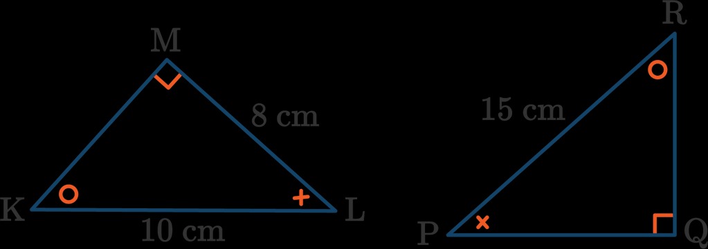 feb52c45-8123-94c1-9de2-d53446cbbb25.jpg