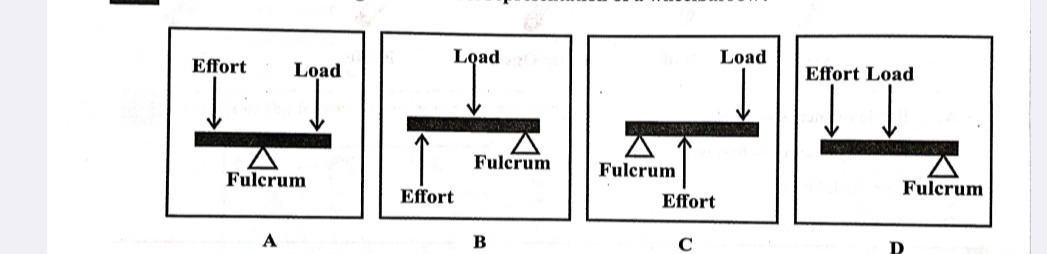 5fc73aff-a9ff-9416-2af6-316d46648299.jpg