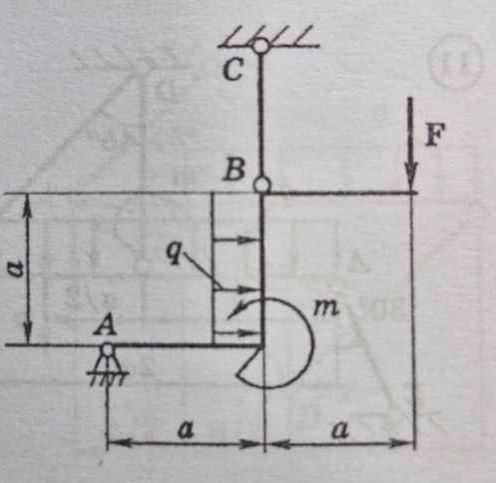 3506aa44-0ff1-4e11-2241-dc033b888774.jpg