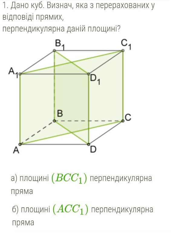 83507898-7202-0190-0943-6a093cbba8a8.jpg