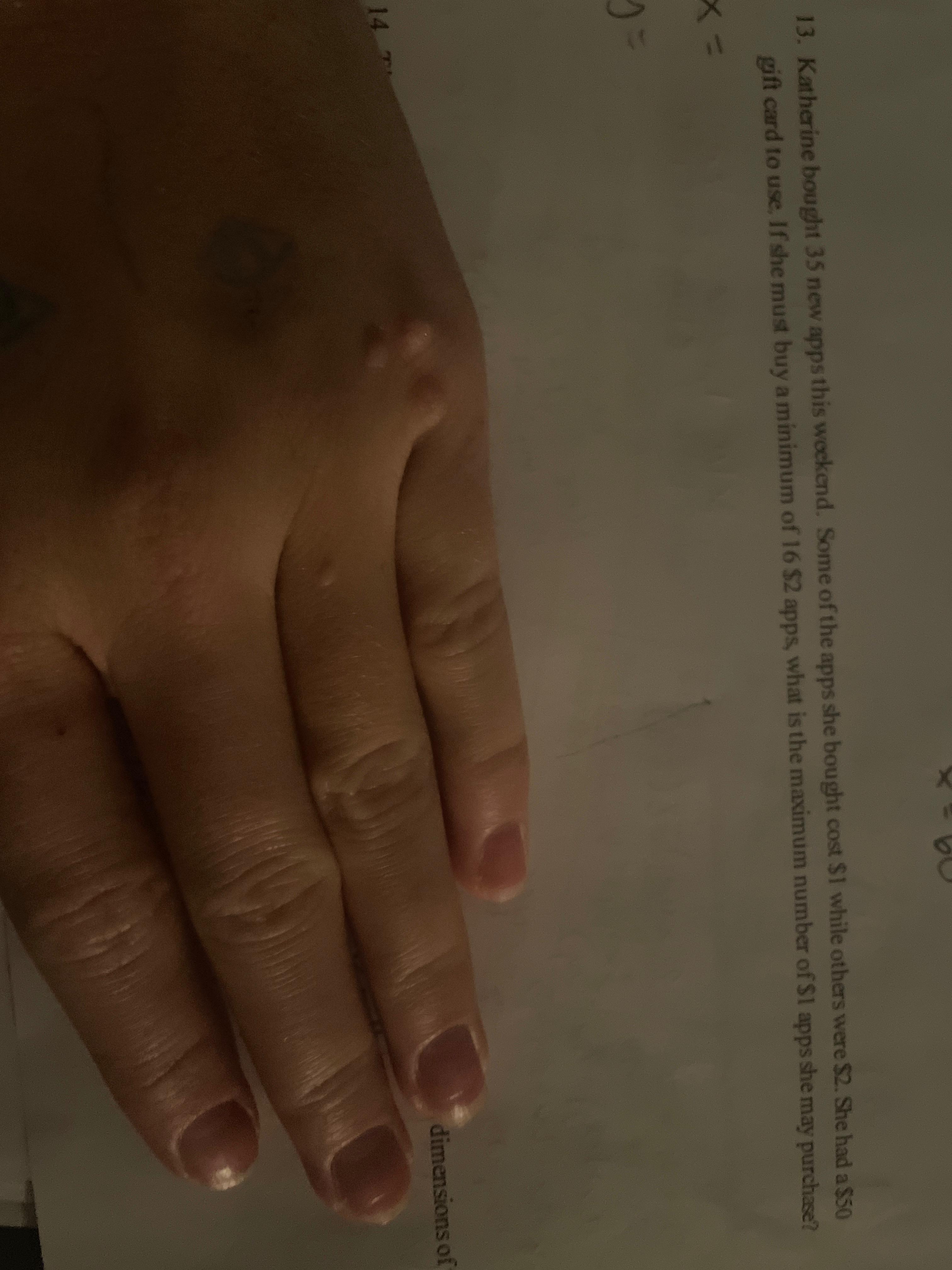 c708ad72-8a91-f287-6550-7e87e34fdf8f.jpg